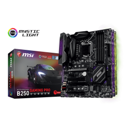 B250 GAMING PRO CARBON